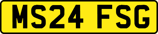 MS24FSG