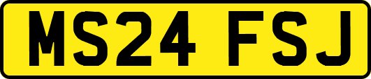 MS24FSJ