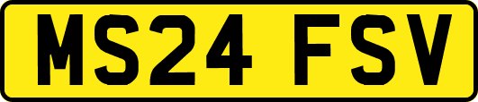 MS24FSV