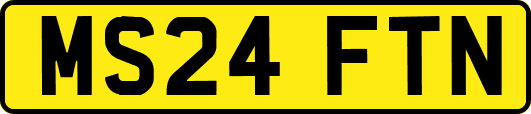 MS24FTN