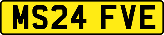 MS24FVE