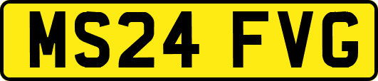 MS24FVG