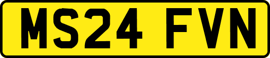 MS24FVN