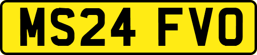 MS24FVO