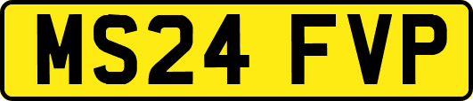 MS24FVP