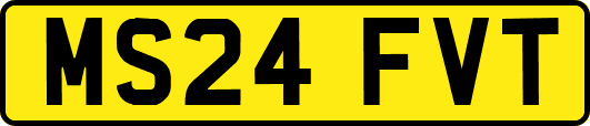 MS24FVT