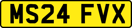 MS24FVX
