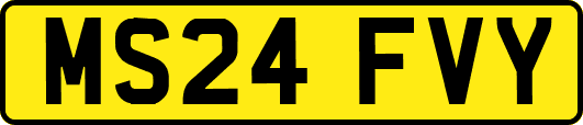 MS24FVY