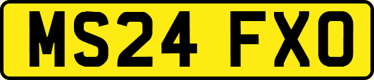 MS24FXO