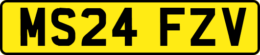 MS24FZV