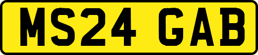 MS24GAB