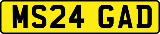 MS24GAD