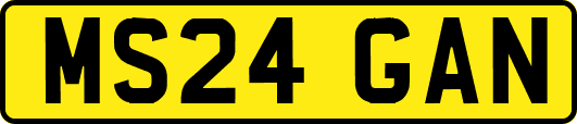 MS24GAN