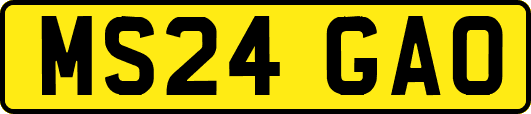 MS24GAO