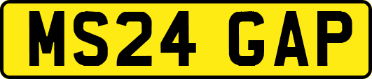 MS24GAP