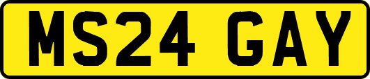 MS24GAY