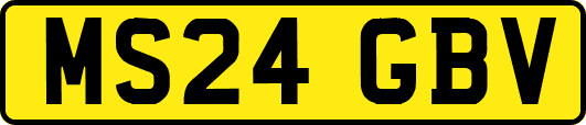 MS24GBV