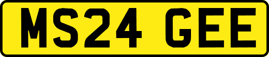 MS24GEE
