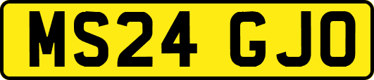 MS24GJO