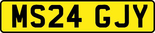 MS24GJY