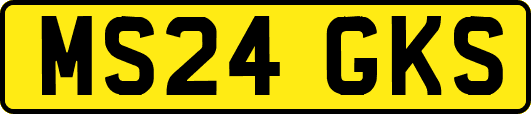 MS24GKS
