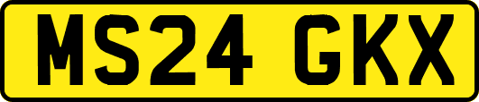 MS24GKX