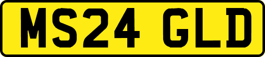 MS24GLD