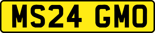 MS24GMO