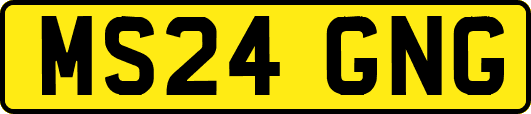 MS24GNG