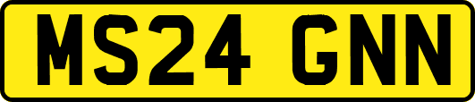 MS24GNN