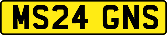 MS24GNS