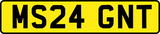 MS24GNT