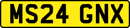 MS24GNX
