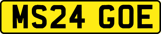 MS24GOE