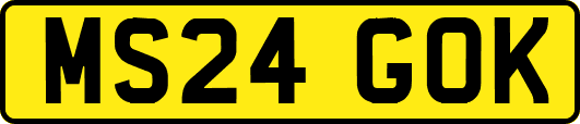 MS24GOK