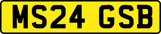 MS24GSB