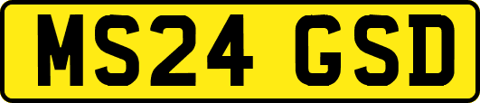MS24GSD