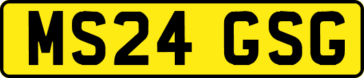 MS24GSG