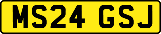MS24GSJ