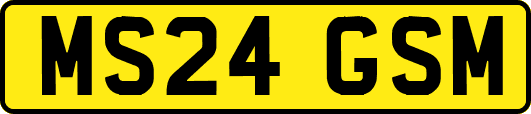 MS24GSM