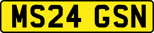 MS24GSN