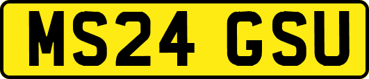MS24GSU