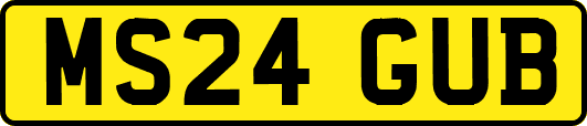 MS24GUB