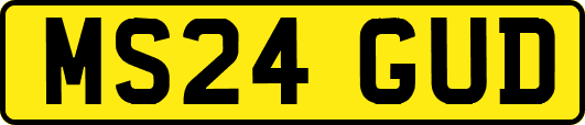 MS24GUD