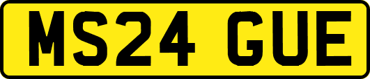 MS24GUE