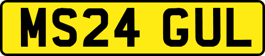 MS24GUL