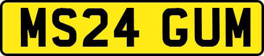 MS24GUM