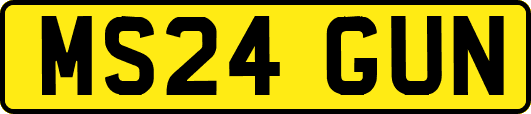 MS24GUN