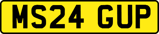 MS24GUP