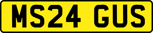 MS24GUS